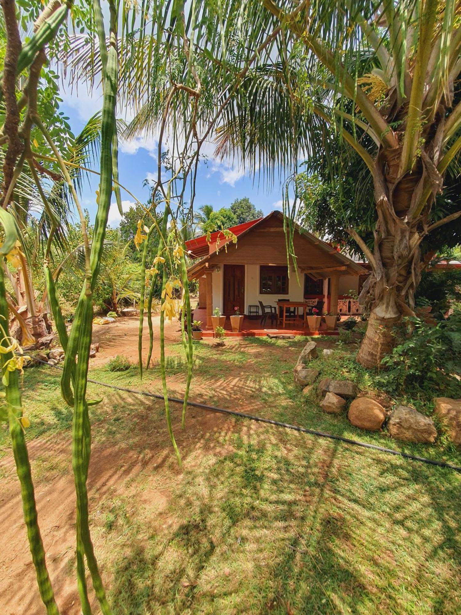 Jungle Eco Lodge & Safari Sigiriya Exterior foto