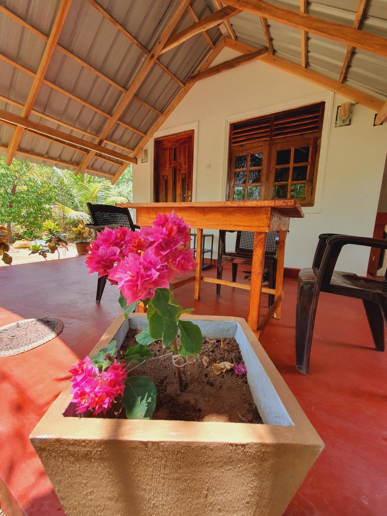 Jungle Eco Lodge & Safari Sigiriya Exterior foto
