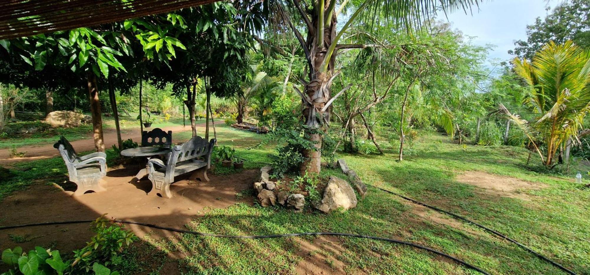 Jungle Eco Lodge & Safari Sigiriya Exterior foto